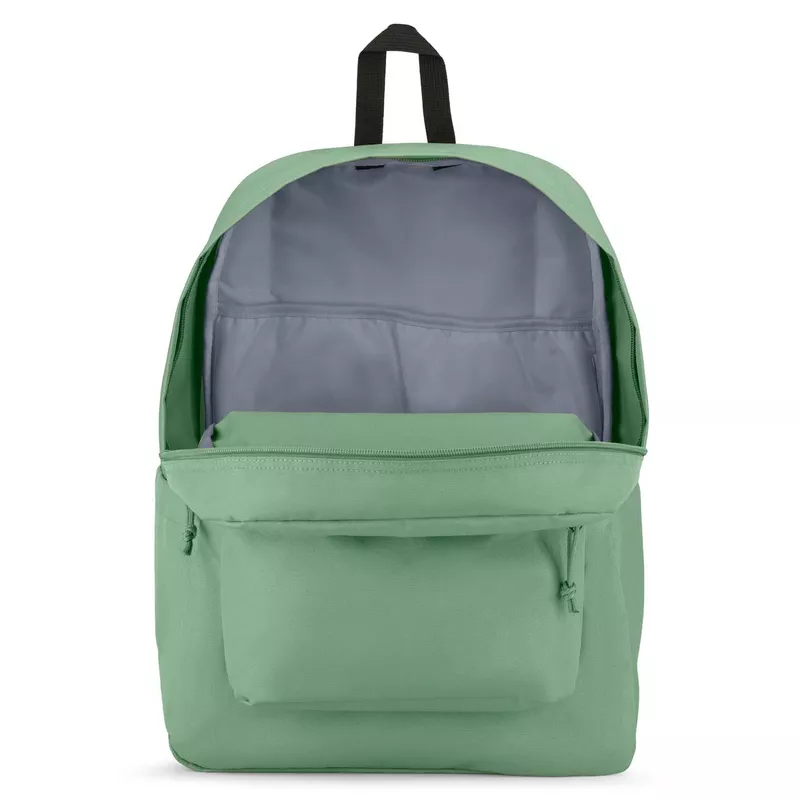 JANSPORT SUPERBREAK PLUS - Loden Frost